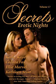 SECRETS Volume 17 - Birthday by Ellie Marvel