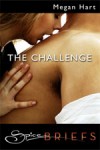 The Challenge by Megan Hart